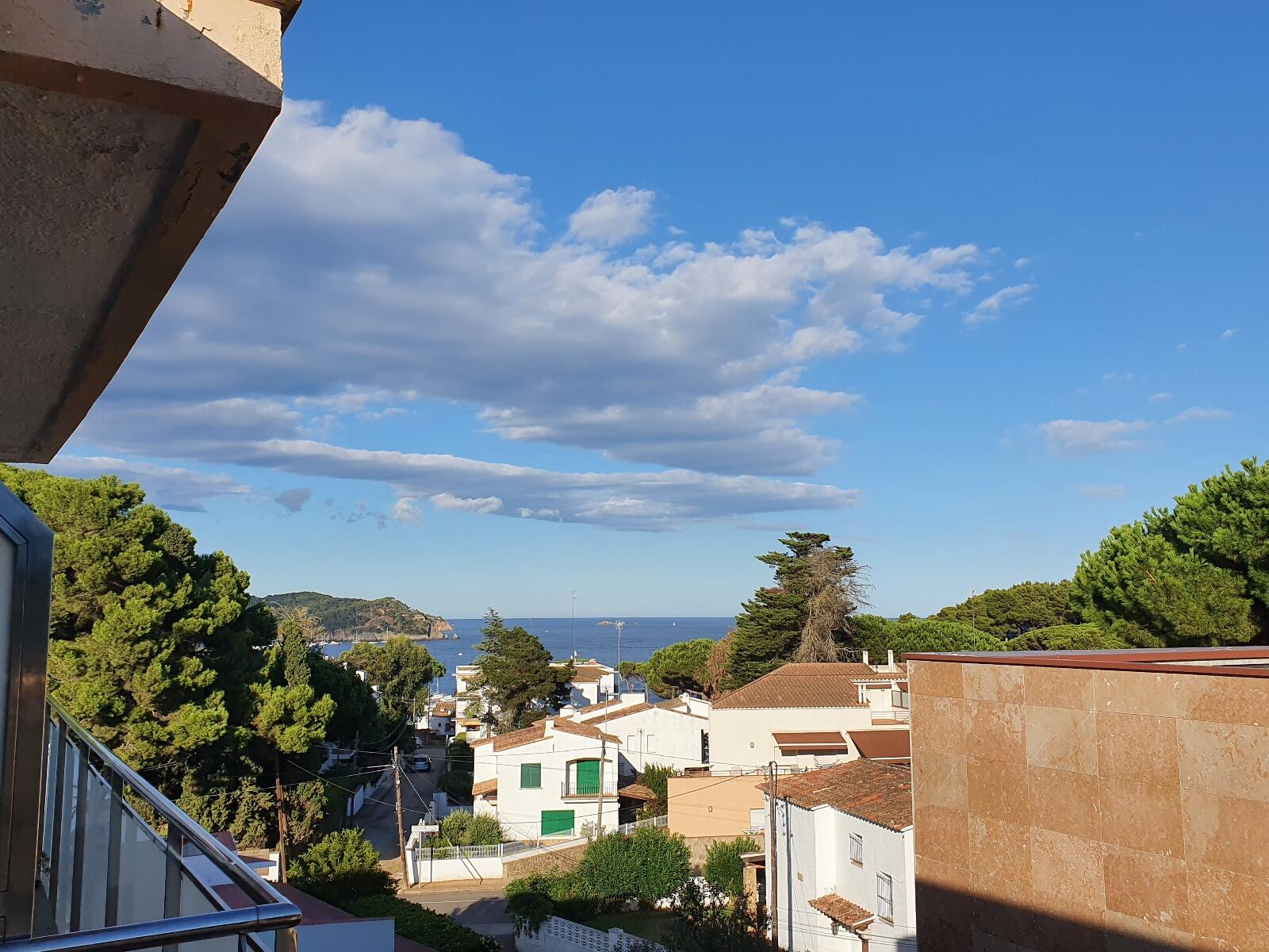PALMERAS - lafosca.es